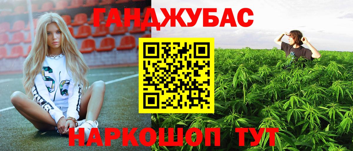 Канабис сатива Подольск